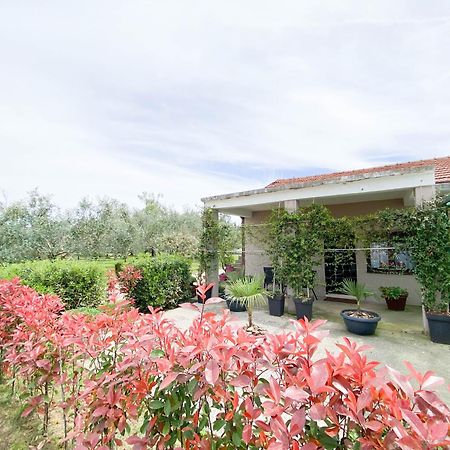 Olive Apartment Ποντγορίτσα Εξωτερικό φωτογραφία