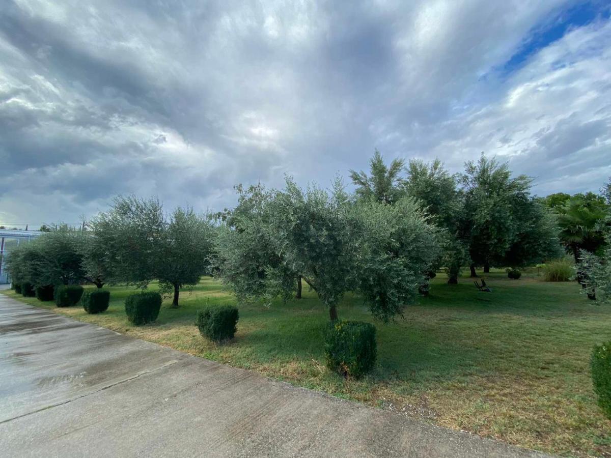 Olive Apartment Ποντγορίτσα Εξωτερικό φωτογραφία
