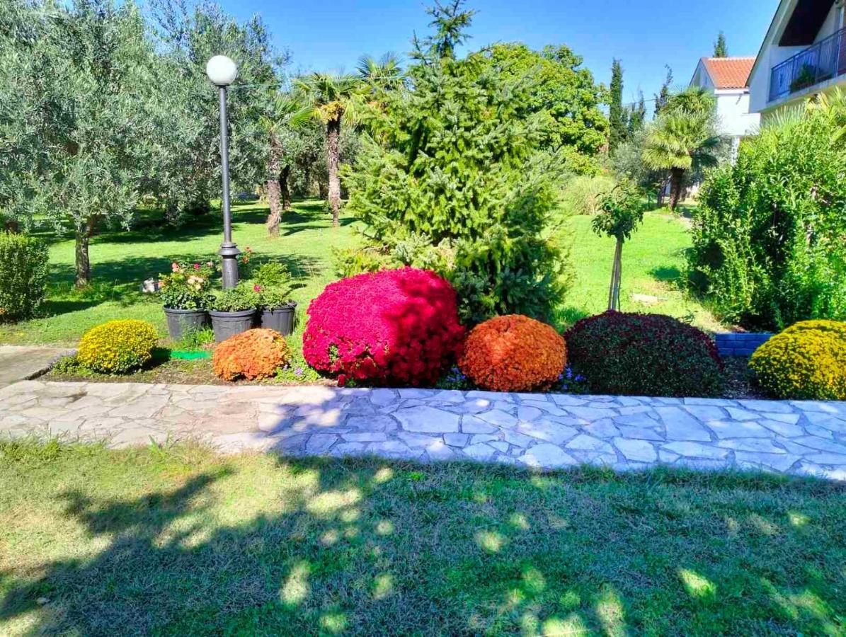Olive Apartment Ποντγορίτσα Εξωτερικό φωτογραφία