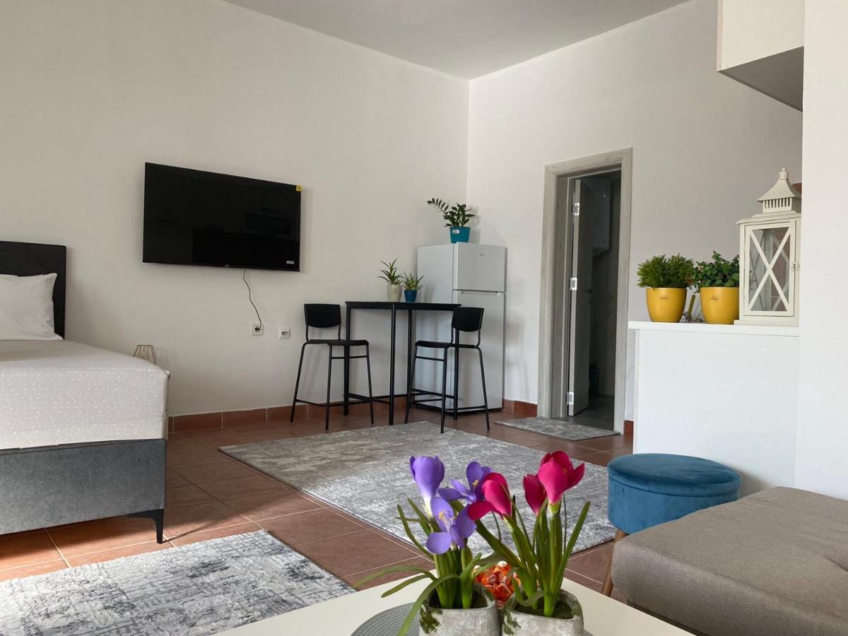 Olive Apartment Ποντγορίτσα Εξωτερικό φωτογραφία