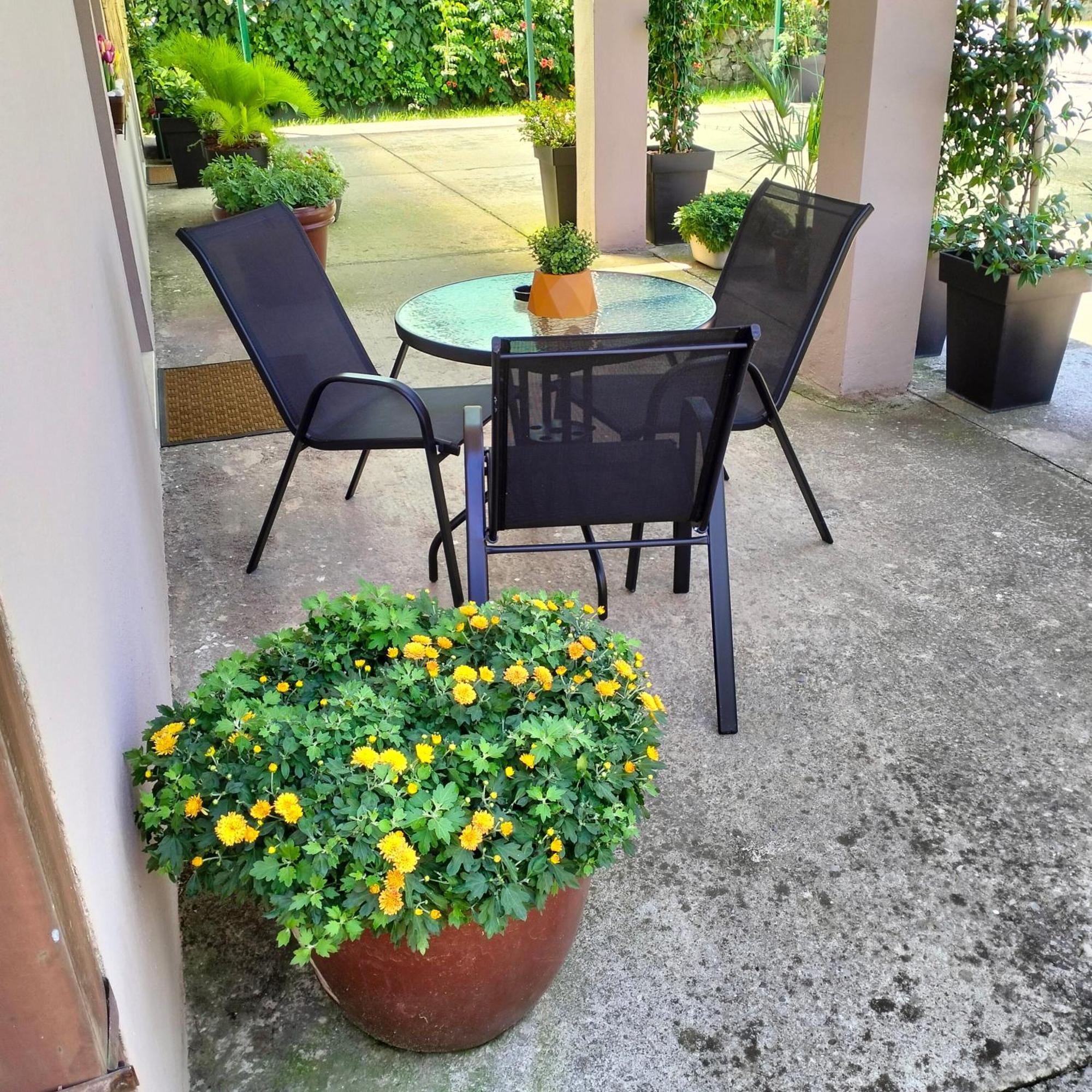 Olive Apartment Ποντγορίτσα Εξωτερικό φωτογραφία