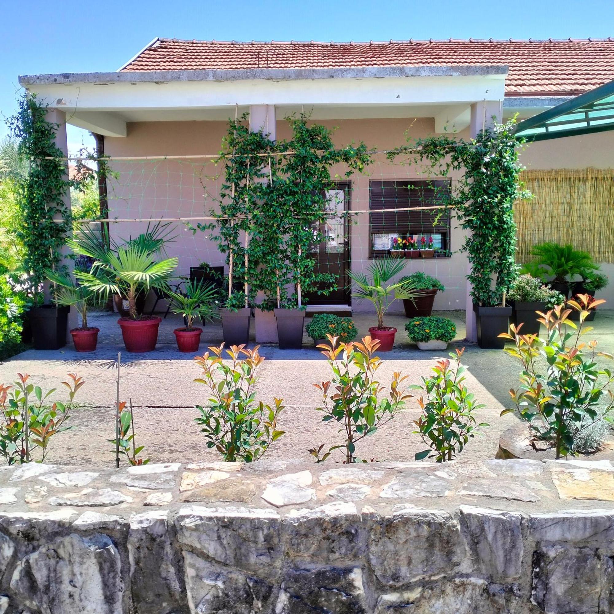 Olive Apartment Ποντγορίτσα Εξωτερικό φωτογραφία