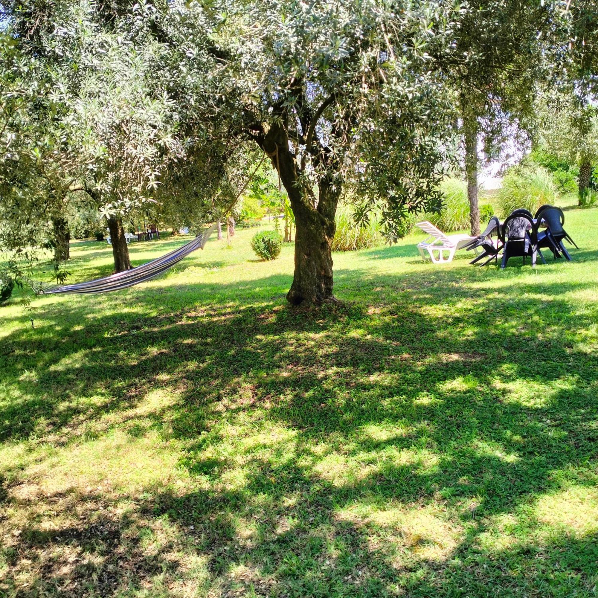 Olive Apartment Ποντγορίτσα Εξωτερικό φωτογραφία